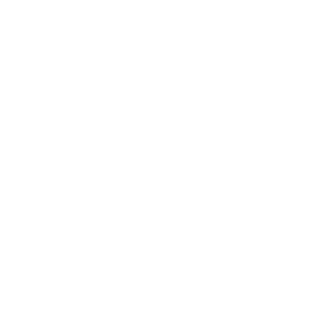 Zevi